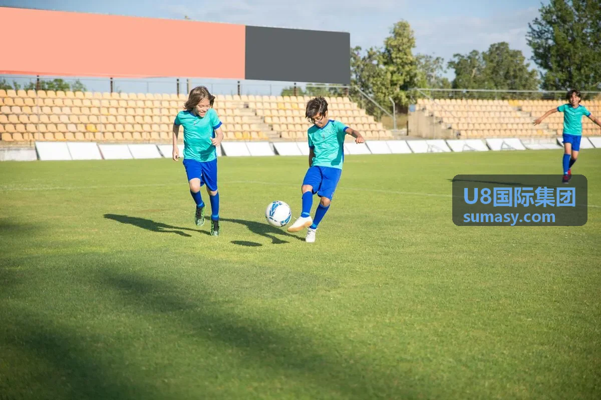 U8国际集团合规架构示意图